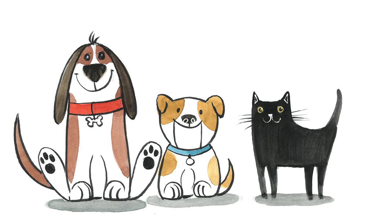 Illustrate Junior: Meine liebsten Haustiere